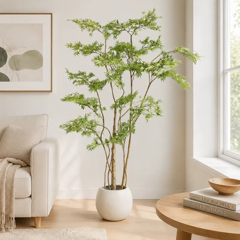 Dracaena Marginata - Árbol de Arce Japonés Artificial en