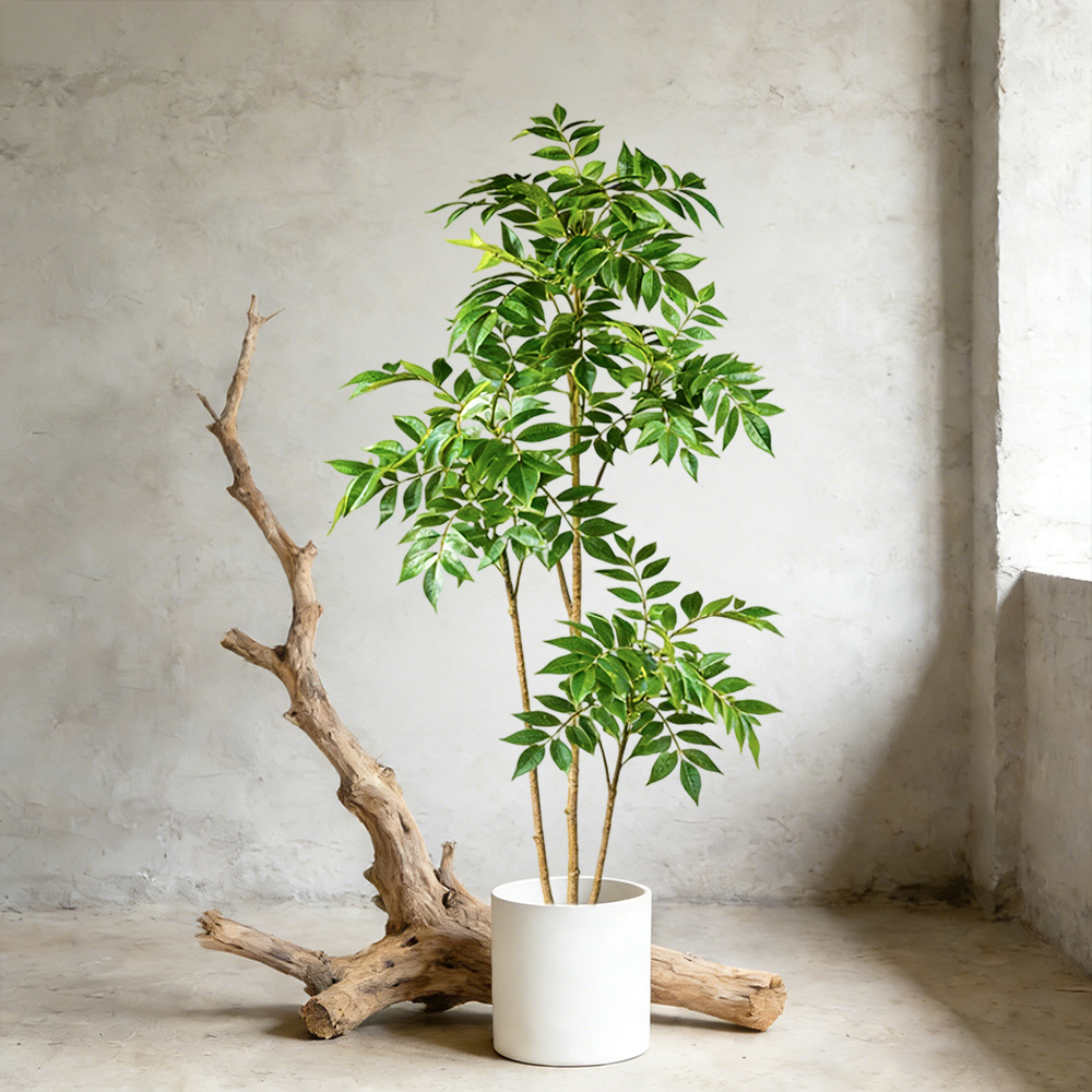 Dracaena Marginata - Árbol de Caucho Artificial de 76-140