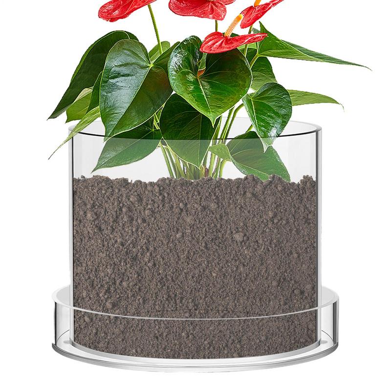 Aloe Vera Pot - Macetas transparentes con drenaje, recipientes transparentes