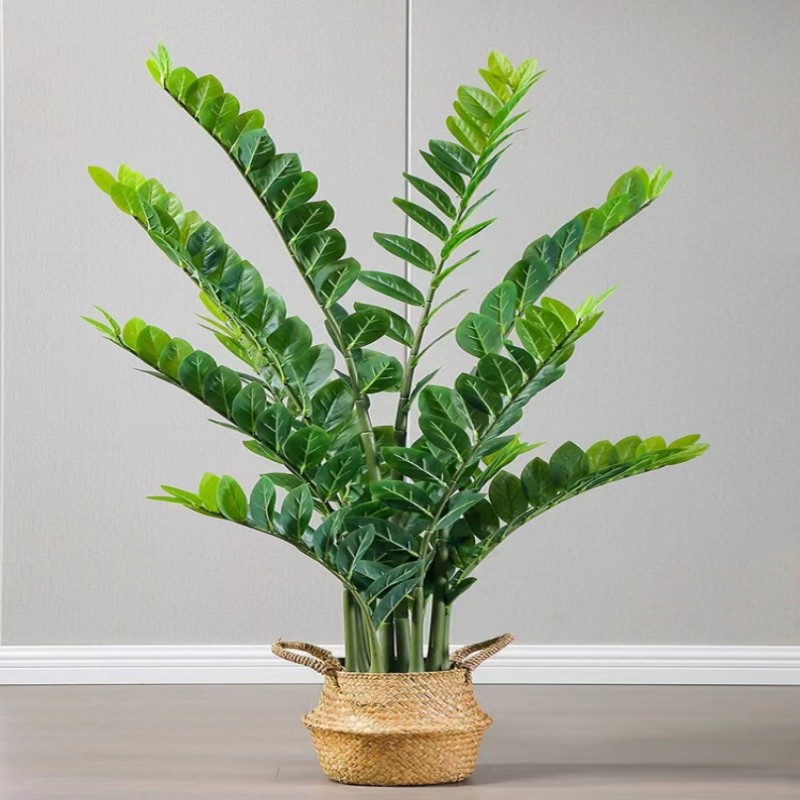 Dracaena Marginata - Rama Artificial grande de Banyan, planta