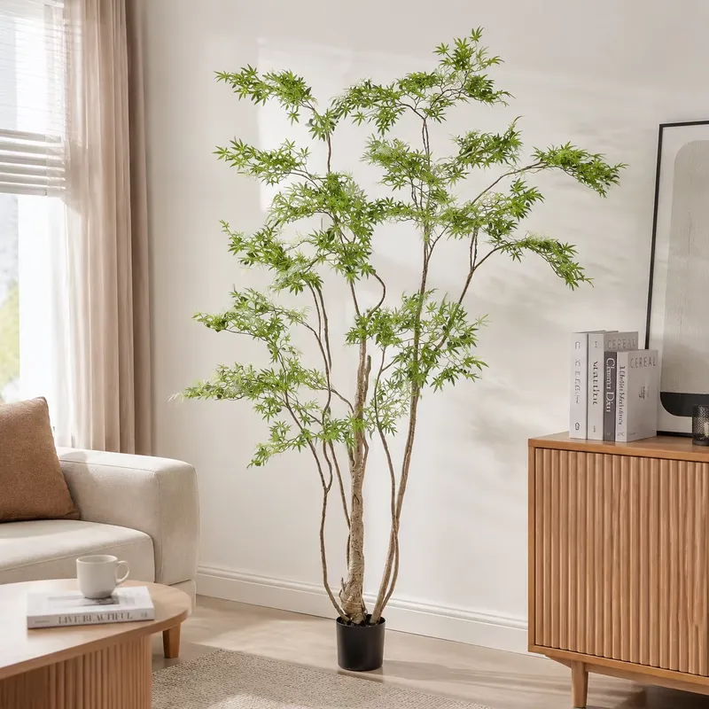 Árbol de Arce Japonés Artifici - Dracaena Marginata reseña y precio