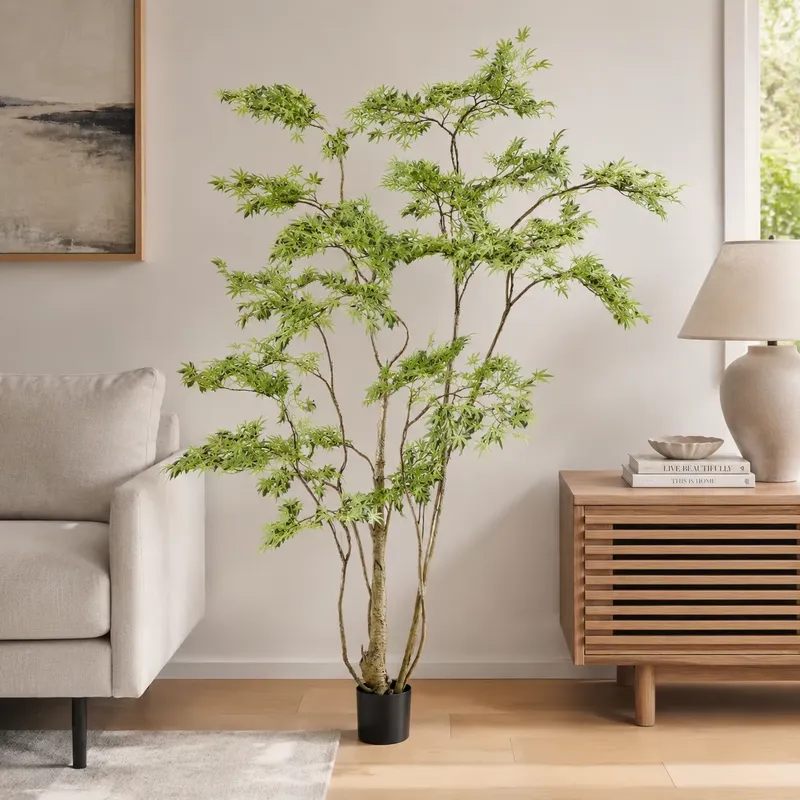 Árbol de Arce Japonés Artifici - Dracaena Marginata reseña y precio
