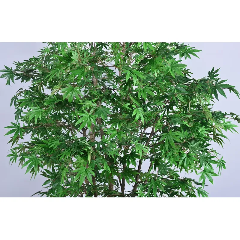 Árbol de Arce Verde Artificial - Dracaena Marginata reseña y precio