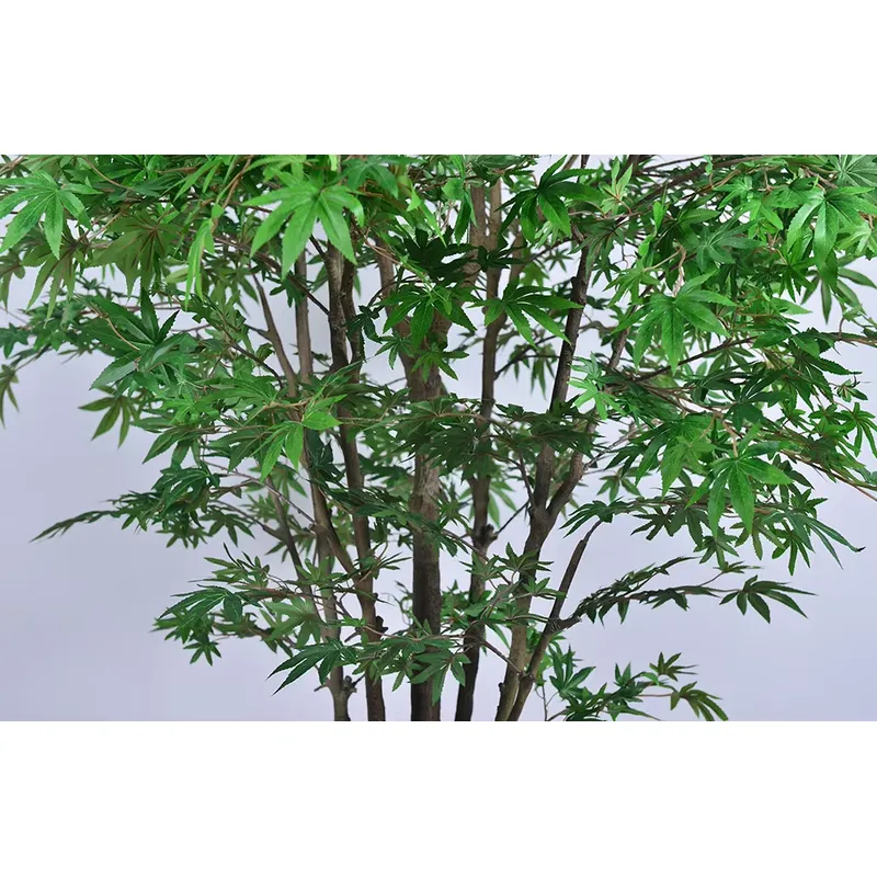 Árbol de Arce Verde Artificial - Dracaena Marginata reseña y precio