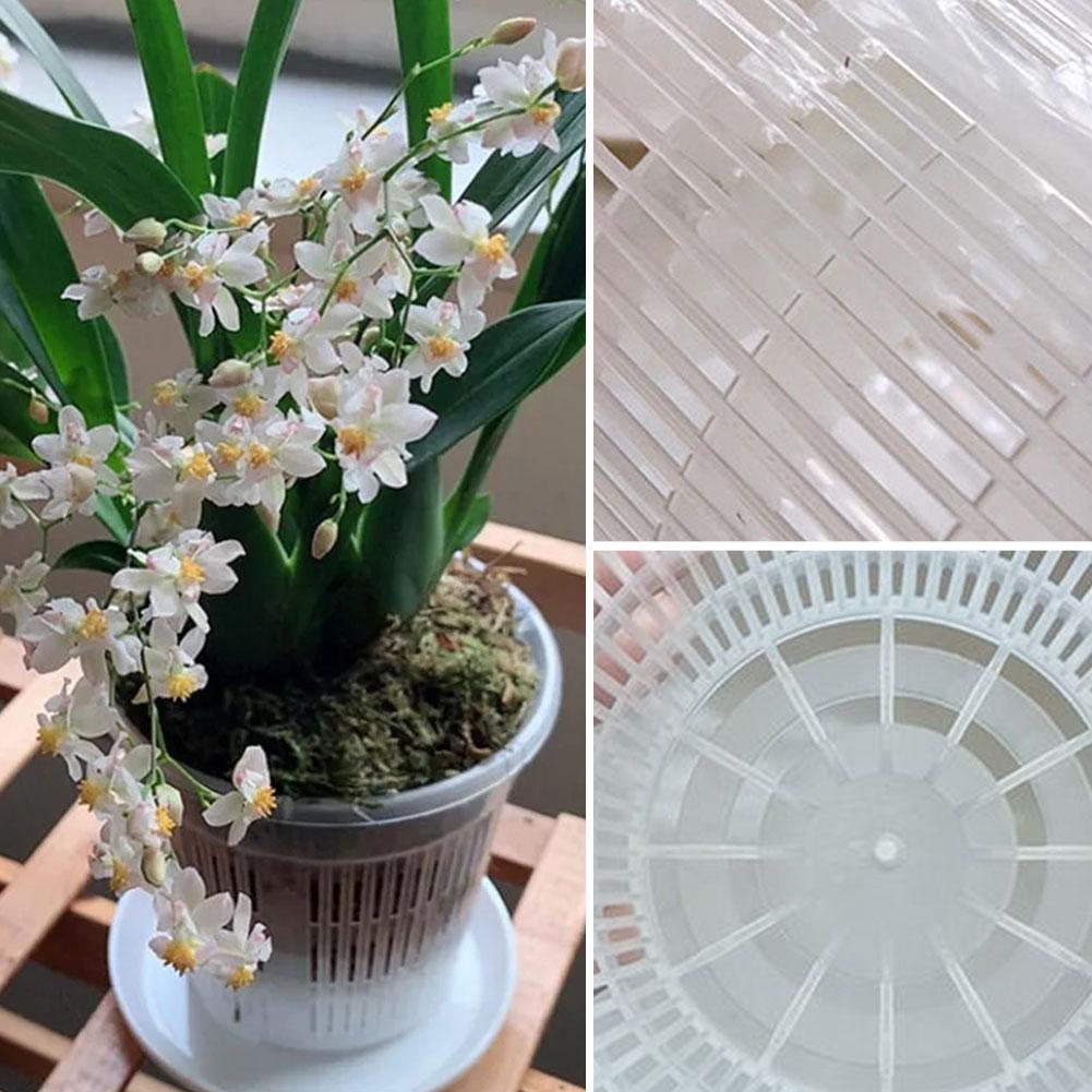 Maceta transparente con Contro - Aloe Vera Pot reseña y precio