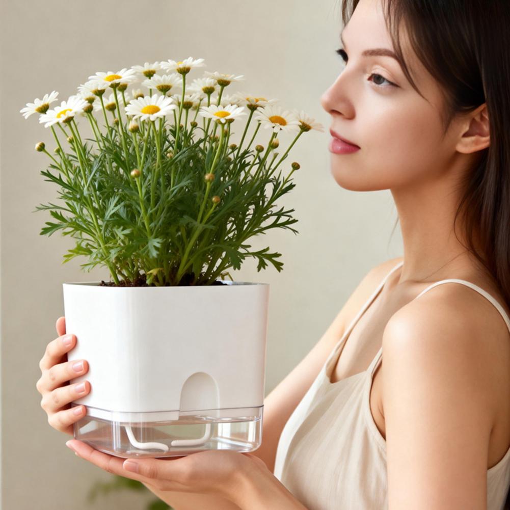 Macetas con Riego Automático,  - Aloe Vera Pot reseña y precio