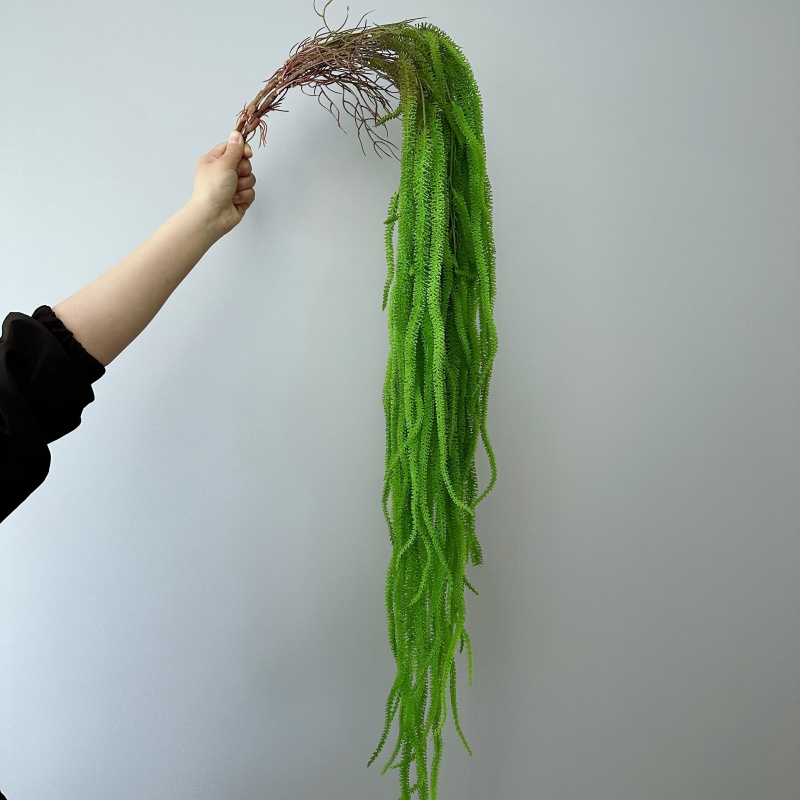 Barba de sauce Artificial, pla - Monstera Adansonii reseña y precio