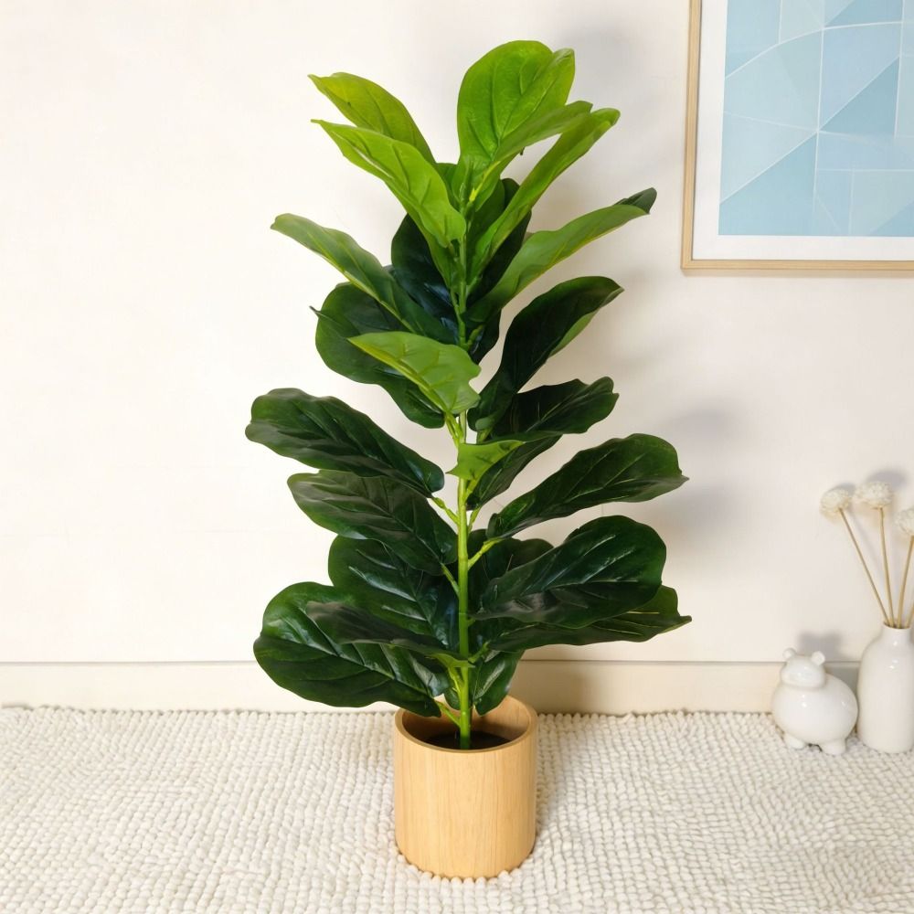 Árbol Artificial de Ficus de P - Monstera Adansonii reseña y precio