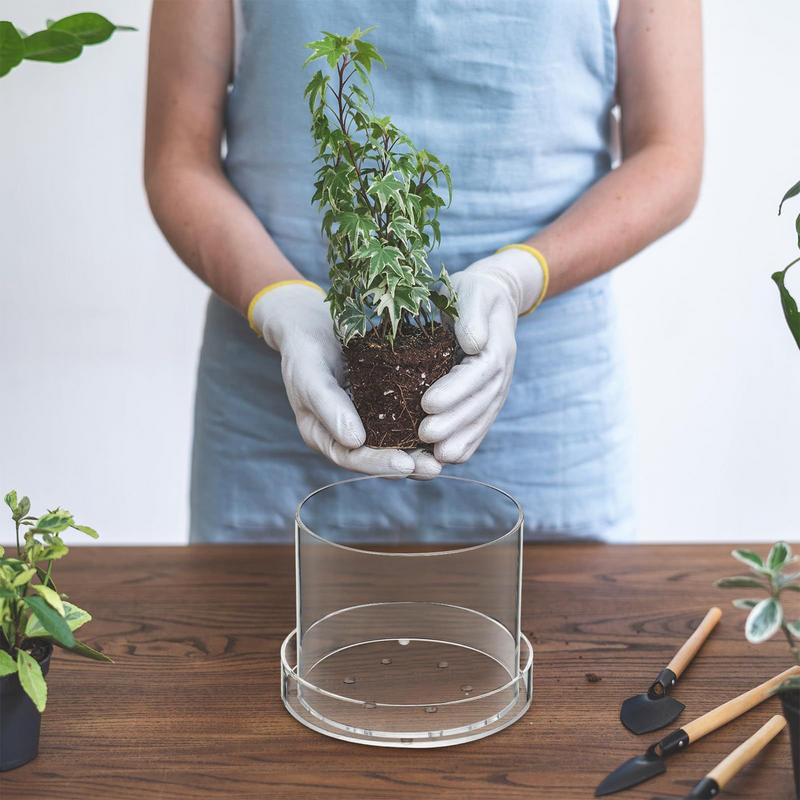 Macetas transparentes con dren - Aloe Vera Pot reseña y precio