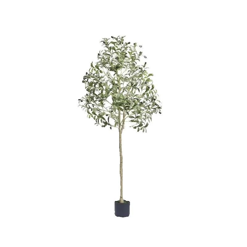 SucceBuy Olivo Artificial de 4 - Dracaena Marginata reseña y precio