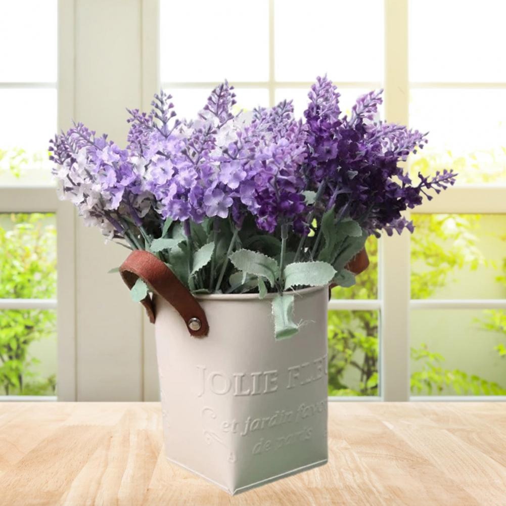Barriles para decoración de ja - Aloe Vera Pot reseña y precio
