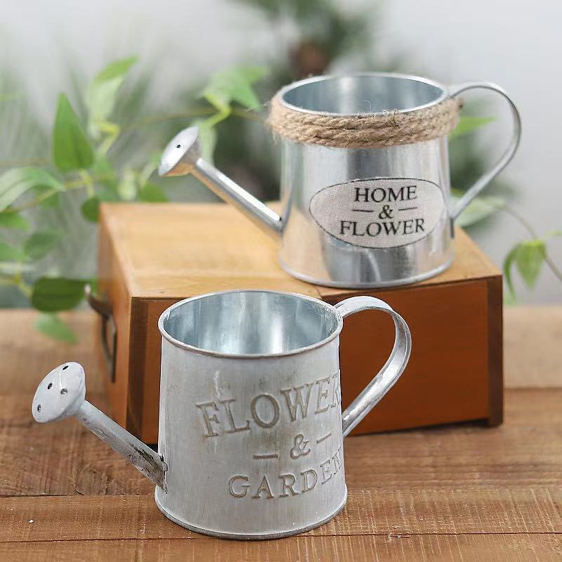 Barriles para decoración de ja - Aloe Vera Pot reseña y precio