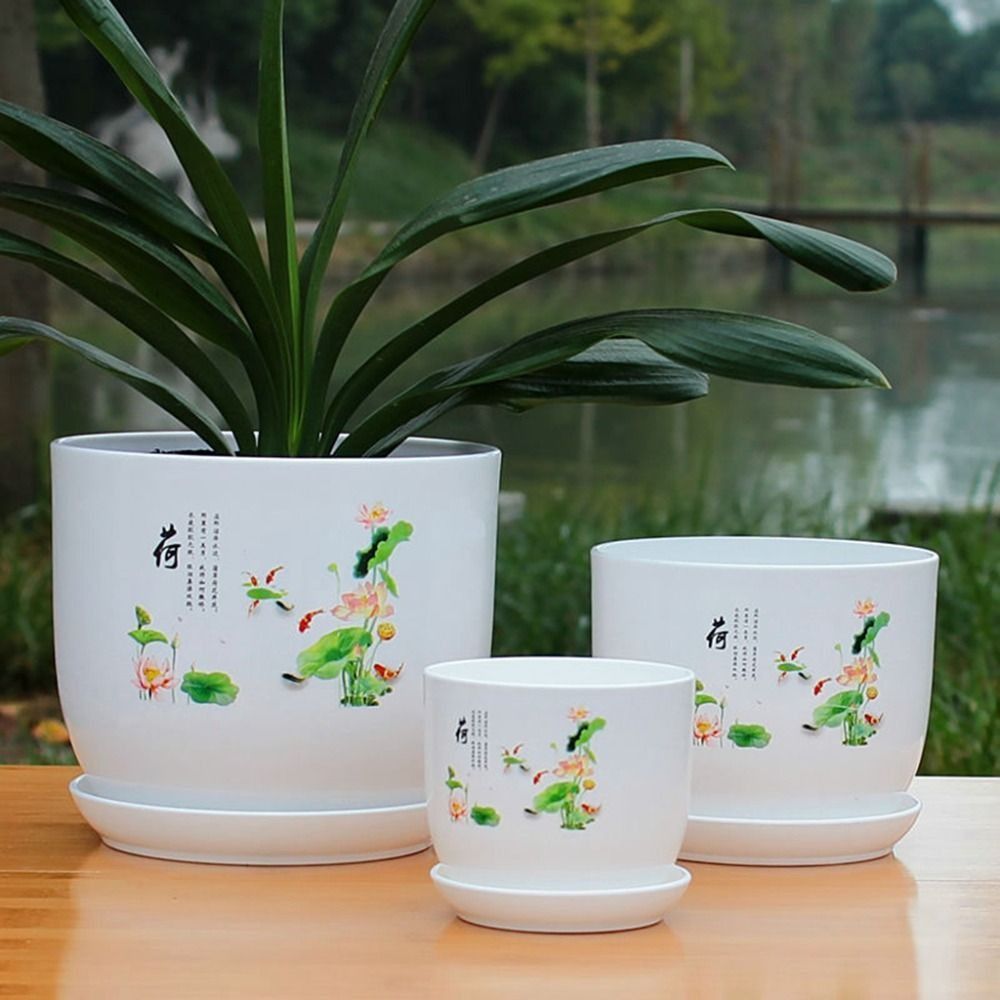 Maceta Extra Grande de Plástic - Aloe Vera Pot reseña y precio
